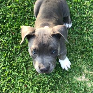 Meet your Posher, William